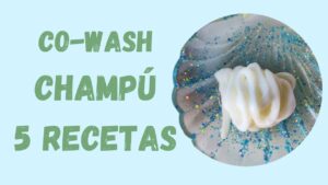 Champú Co-wash 5 RECETAS